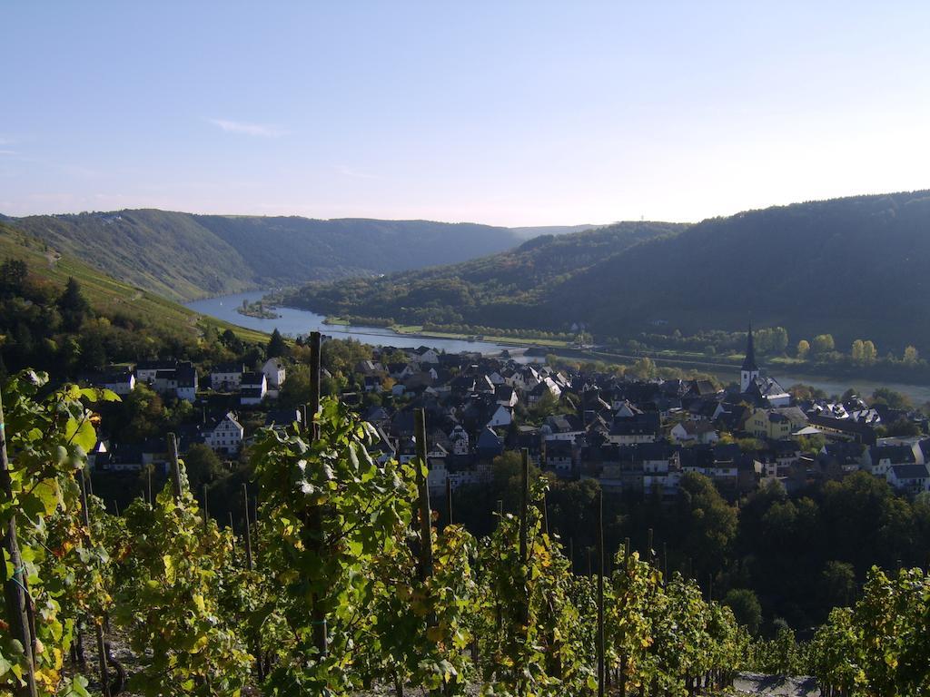 Weingut Matthias Dauns Appartement Reil Buitenkant foto