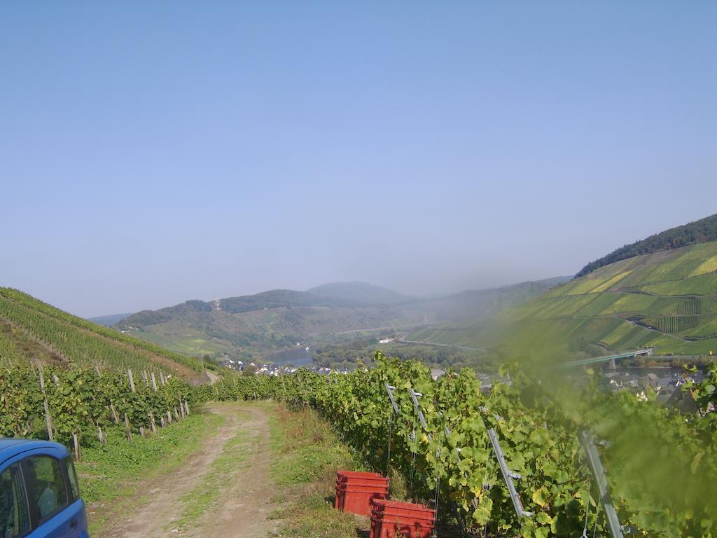 Weingut Matthias Dauns Appartement Reil Buitenkant foto