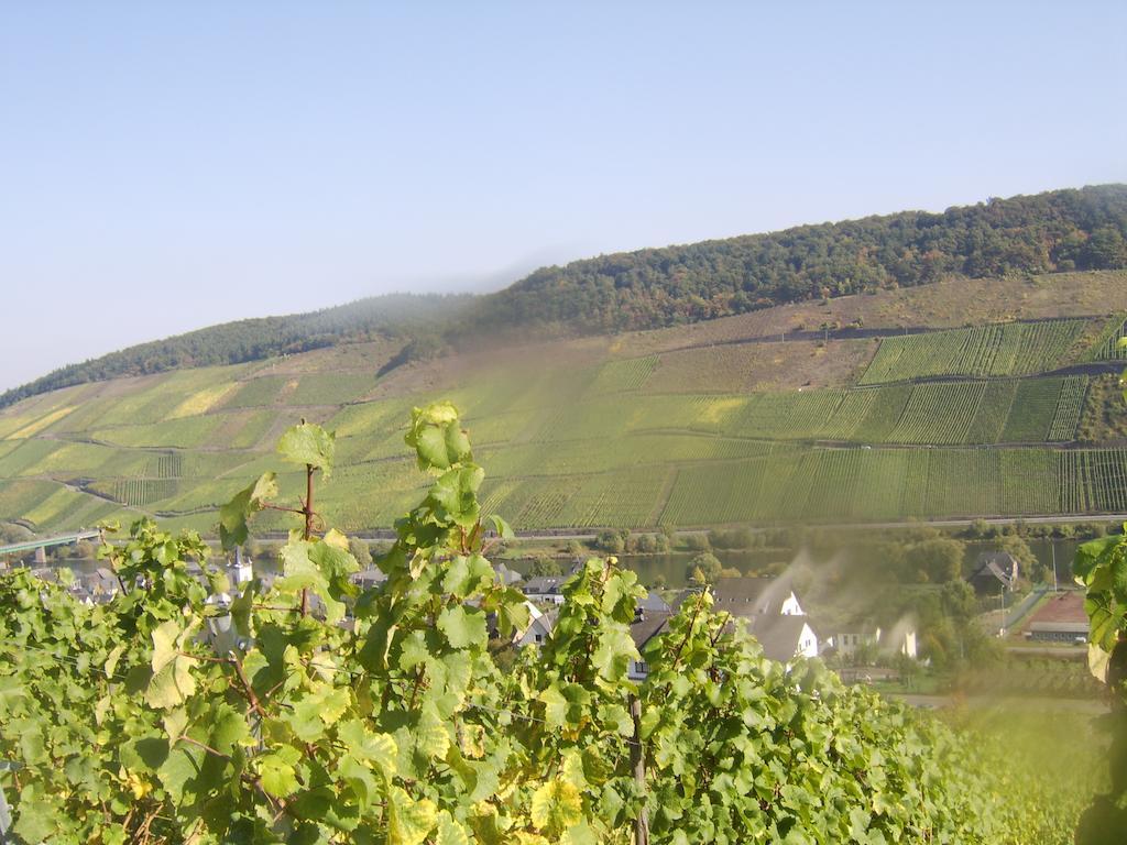 Weingut Matthias Dauns Appartement Reil Buitenkant foto