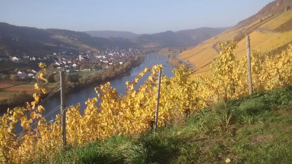 Weingut Matthias Dauns Appartement Reil Buitenkant foto