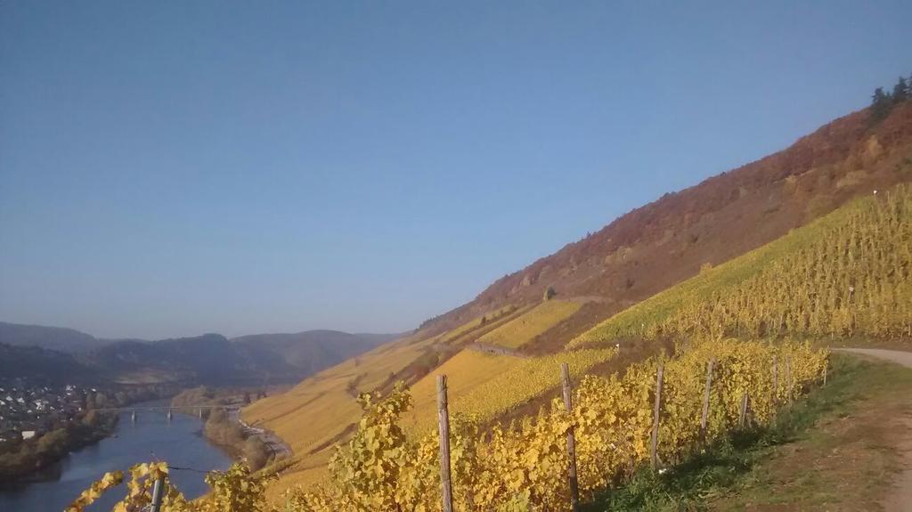 Weingut Matthias Dauns Appartement Reil Buitenkant foto