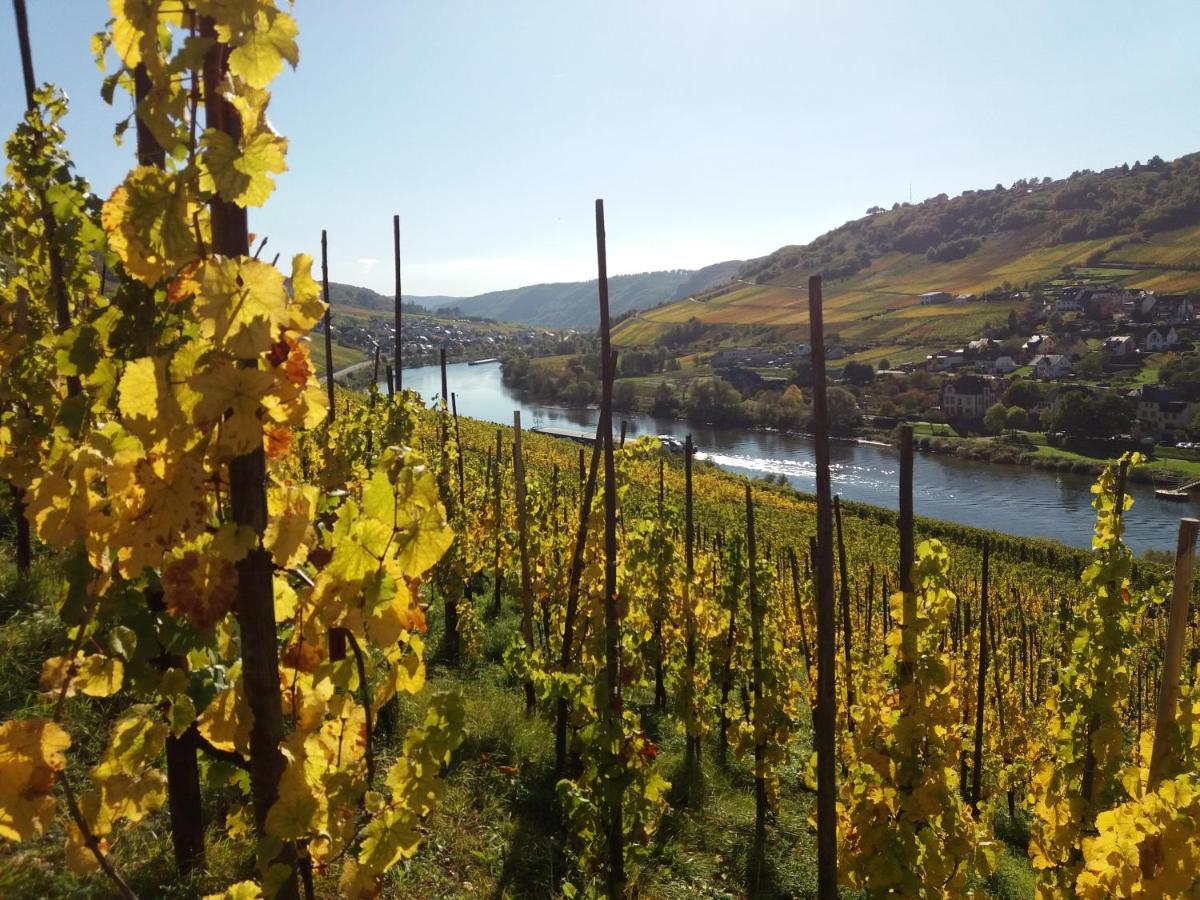 Weingut Matthias Dauns Appartement Reil Buitenkant foto